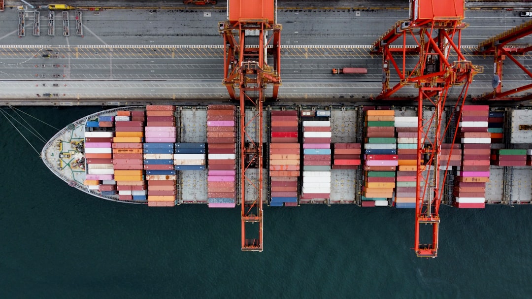 Pasażerowie na gapę w kontenerach. Jak globalny transport roznosi inwazyjne owady po świecie Pasażerowie na gapę w kontenerach. Jak globalny transport roznosi inwazyjne owady po świecie