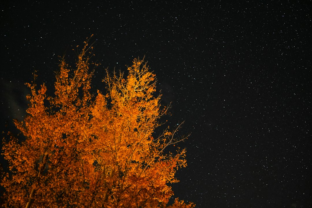 Astronomiczna jesień już nadeszła. Czego szukać na nocnym niebie w tym tygodniu? Astronomiczna jesień już nadeszła. Czego szukać na nocnym niebie w tym tygodniu?