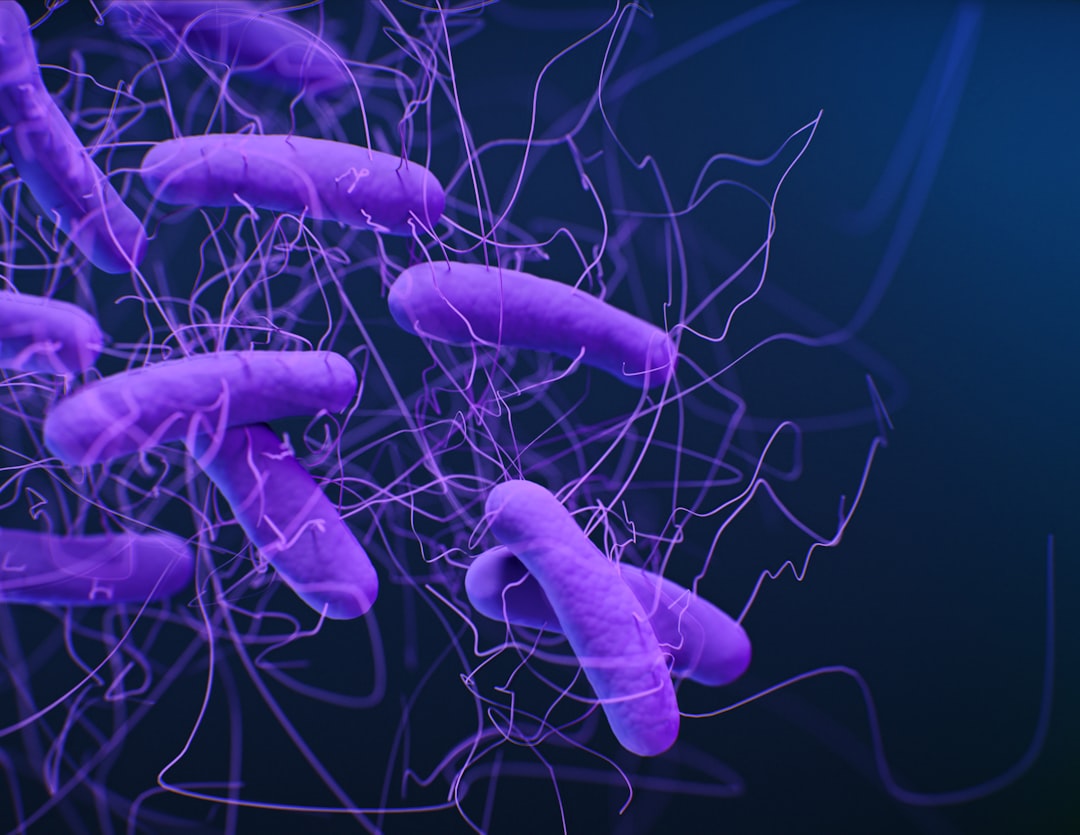 Mikrobiom pod lupą naukowców. Jak codzienne nawyki i leki rzeźbią nasze jelita? Mikrobiom pod lupą naukowców. Jak codzienne nawyki i leki rzeźbią nasze jelita?