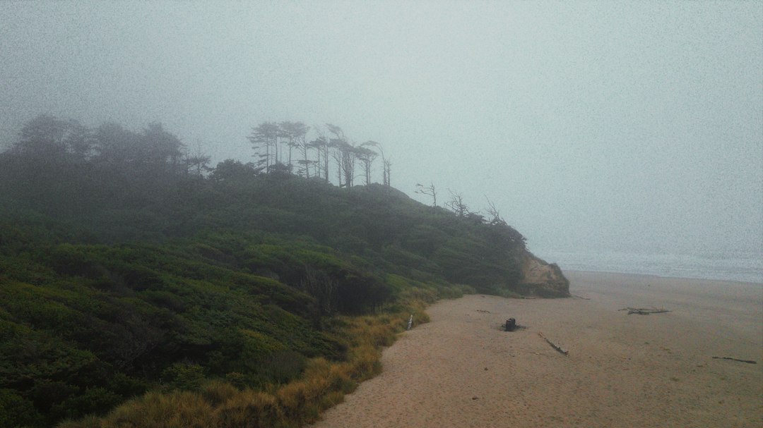 Przełom w poszukiwaniach Emilii Koprowskiej. Służby odnalazły kluczowy przedmiot Przełom w poszukiwaniach Emilii Koprowskiej. Służby odnalazły kluczowy przedmiot