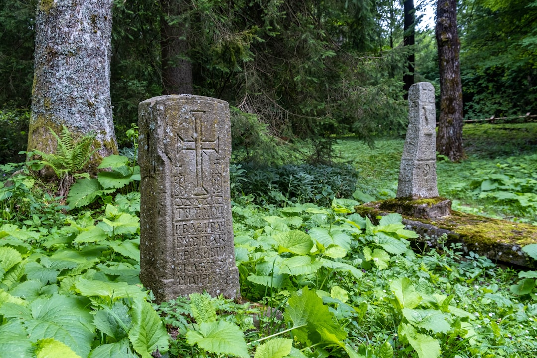 Przełom w relacjach polsko-ukraińskich. Warszawa wydała zgodę na poszukiwania w Łaskowie Przełom w relacjach polsko-ukraińskich. Warszawa wydała zgodę na poszukiwania w Łaskowie