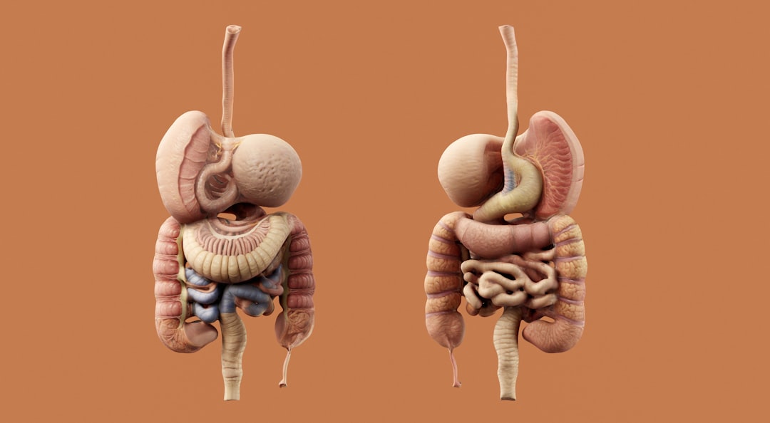 Rewolucja w gastroenterologii: Dlaczego mikrobiom i jelita to najważniejsze laboratorium naszego organizmu? Rewolucja w gastroenterologii: Dlaczego mikrobiom i jelita to najważniejsze laboratorium naszego organizmu?