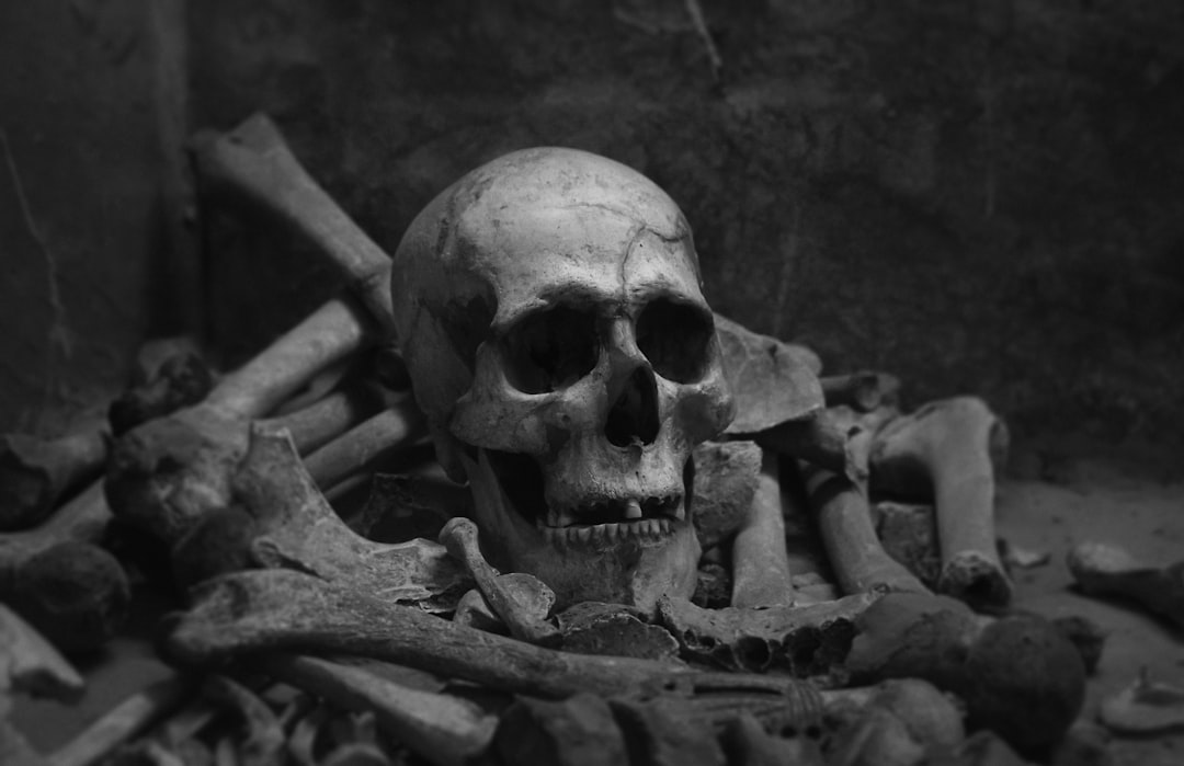 Sekret miednicy indonezyjskiego „hobbita”. Nowe odkrycie o Homo floresiensis zaskakuje naukowców