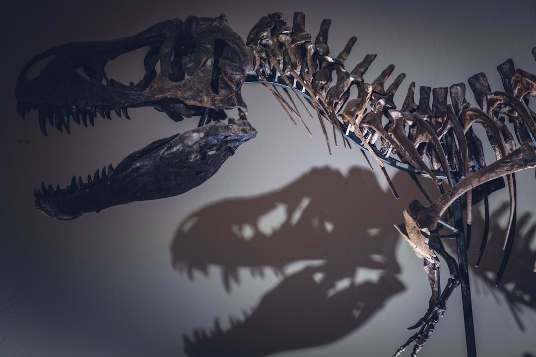 T. rex jak człowiek? Naukowcy zmierzyli temperaturę ciała króla dinozaurów T. rex jak człowiek? Naukowcy zmierzyli temperaturę ciała króla dinozaurów