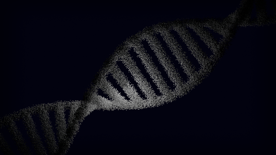 Genetyczny portret przeciętnego człowieka. Co naprawdę kryje nasze DNA?