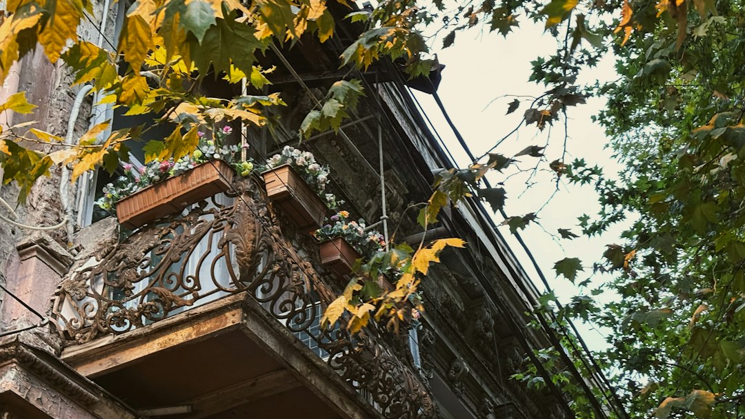 Jesień w pełni: Jak odmienić balkon i ogród za pomocą zjawiskowych dekoracji z dyni